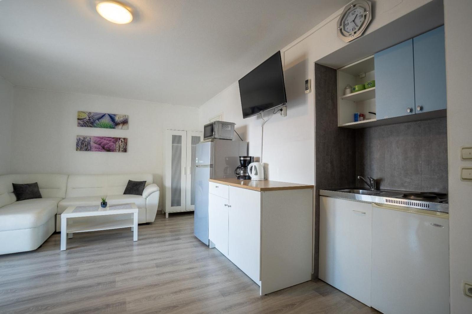 Apartments Pavic ヴィル エクステリア 写真