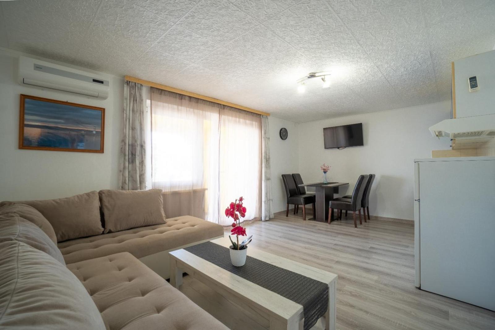 Apartments Pavic ヴィル エクステリア 写真